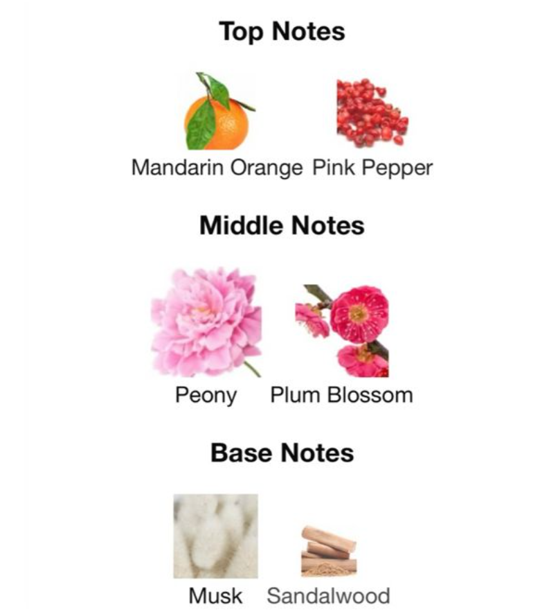 Blush Berry — Inspired by Burberry Her